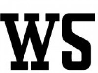 WSservis logo
